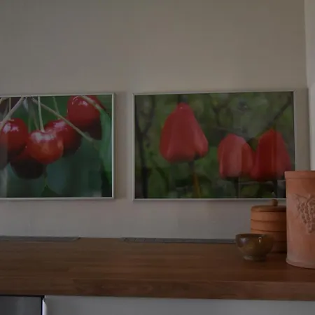 Eifelmittendrin Apartment Waxweiler